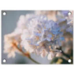 Bloemen - Lichtblauw - Wazig - Trosje tuinposter los doek klein -3d
