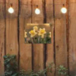 Bloemen - Geel - Wazig tuinposter los doek klein -sfeer1
