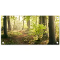 Bospad bij zonsopgang tuinposter los doek klein -3d