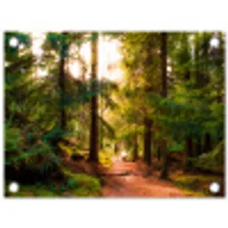 Bos - Pad - Bomen - Groen - Zon - Natuur tuinposter los doek klein -3d