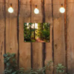 Bos - Pad - Bomen - Groen - Zon - Natuur tuinposter los doek klein -sfeer1
