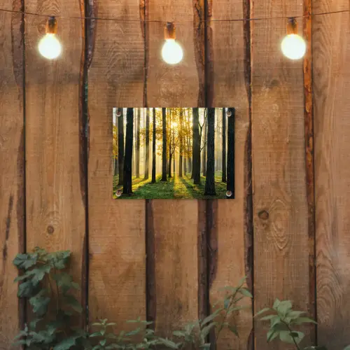 Bos - Zon - Bomen - Gras - Landschap - Natuur tuinposter los doek klein -sfeer1