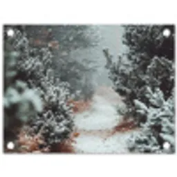 Bos - Winter - Bomen - Natuur - Pad - Sneeuw tuinposter los doek klein -3d