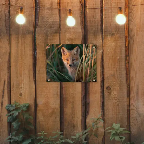 Vos - Oranje - Gras tuinposter los doek klein -sfeer1