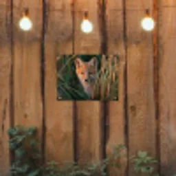 Vos - Oranje - Gras tuinposter los doek klein -sfeer1