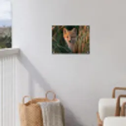 Vos - Oranje - Gras tuinposter los doek klein -sfeer8