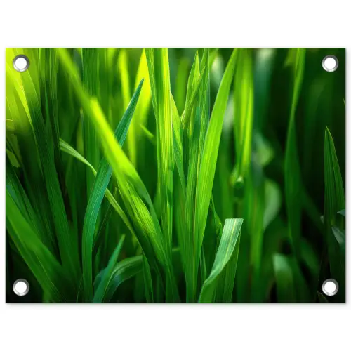 Grassprieten - Lichtinval - Groen tuinposter los doek klein -3d