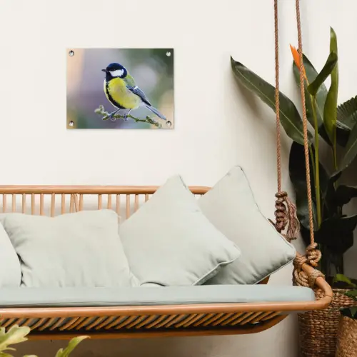 Koolmees op een Tak tuinposter los doek klein -sfeer7
