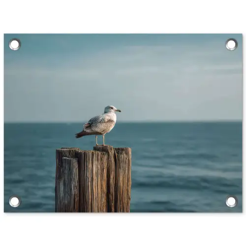Meeuw - Paal - Zee tuinposter los doek klein -3d