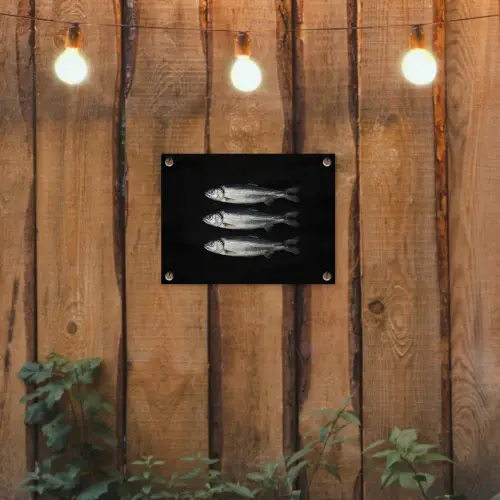 Haring - Vissen - Zwart tuinposter los doek klein -sfeer1