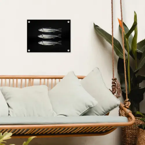 Haring - Vissen - Zwart tuinposter los doek klein -sfeer7