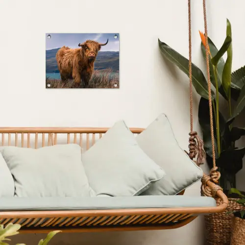 Hooglander bij het Meer tuinposter los doek klein -sfeer7