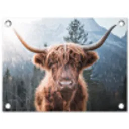 Hooglander van Dichtbij tuinposter los doek klein -3d