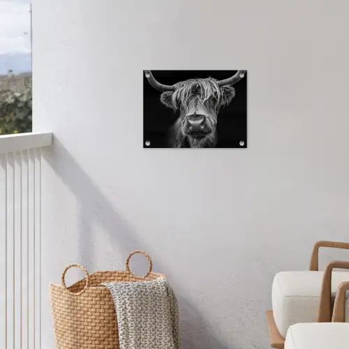 Hooglander in Zwart-Wit tuinposter los doek klein -sfeer8