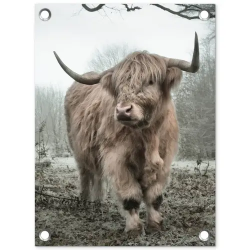 Hooglander in de Mist tuinposter los doek klein -3d