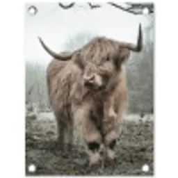 Hooglander in de Mist tuinposter los doek klein -3d