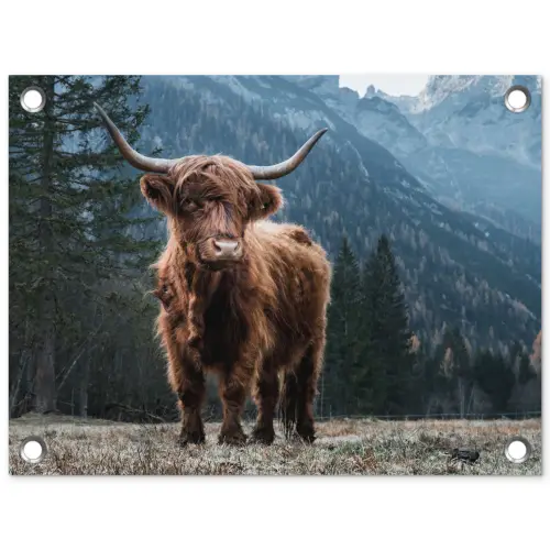 Hooglander in de Bergen tuinposter los doek klein -3d