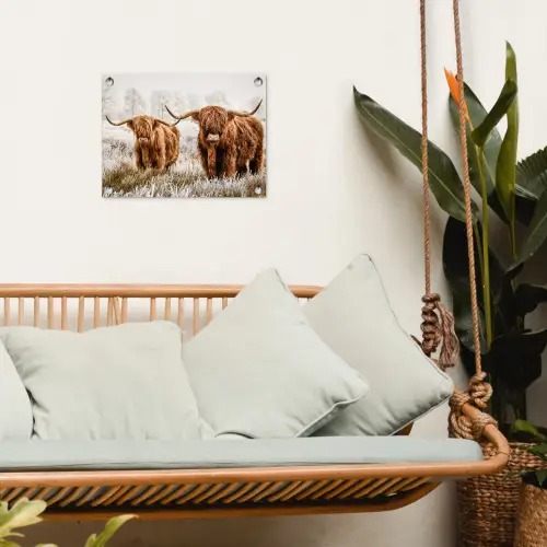 Hooglanders in de Winter tuinposter los doek klein -sfeer7