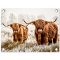 Hooglanders in de Winter tuinposter los doek klein -3d