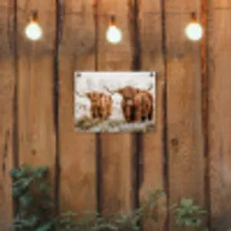 Hooglanders in de Winter tuinposter los doek klein -sfeer1