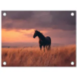 Paard - Wolken - Open veld tuinposter los doek klein -3d