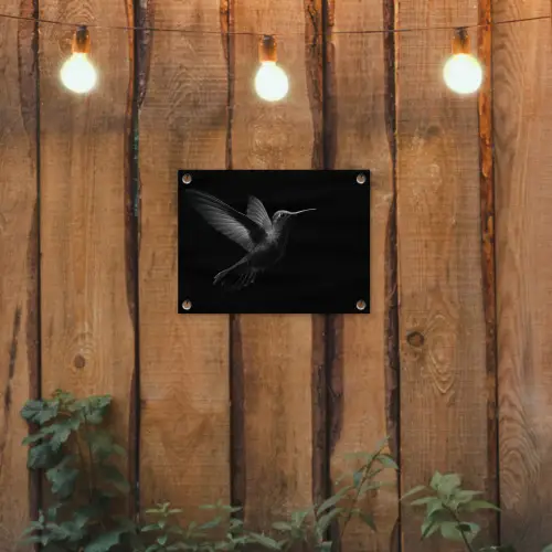 Kolibrie - Zwart - Dieren tuinposter los doek klein -sfeer1