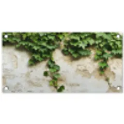Klimop - Muur - Groen tuinposter los doek klein -3d