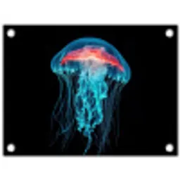 Kwal - Tentakels - Blauw - Licht tuinposter los doek klein -3d