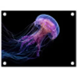 Kwal - Doorzichtig - Roze - Tentakels tuinposter los doek klein -3d