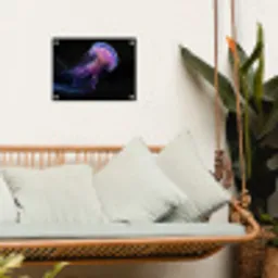 Kwal - Doorzichtig - Roze - Tentakels tuinposter los doek klein -sfeer7