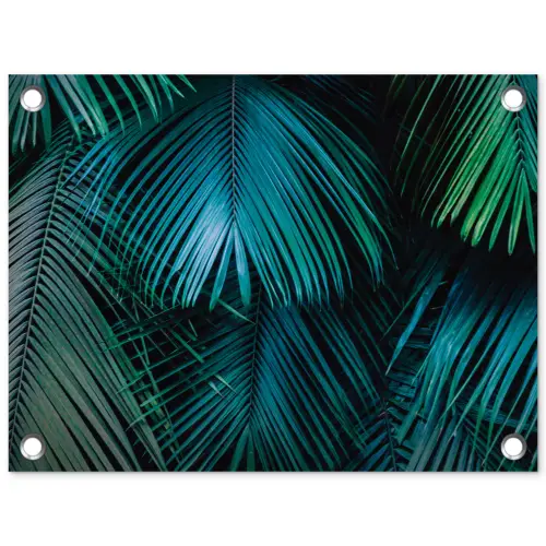 Inductie mat - Jungle - Inductie beschermer - Palmblad - Natuur tuinposter los doek klein -3d