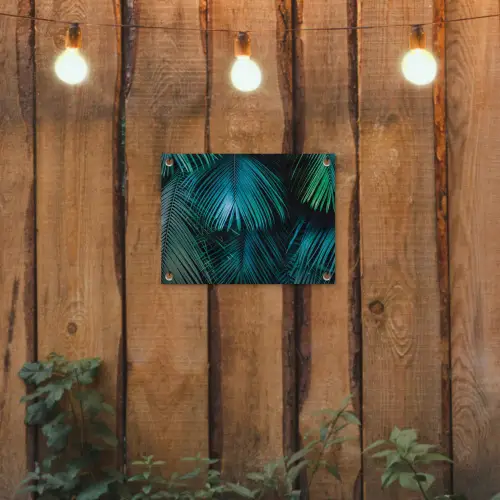 Inductie mat - Jungle - Inductie beschermer - Palmblad - Natuur tuinposter los doek klein -sfeer1