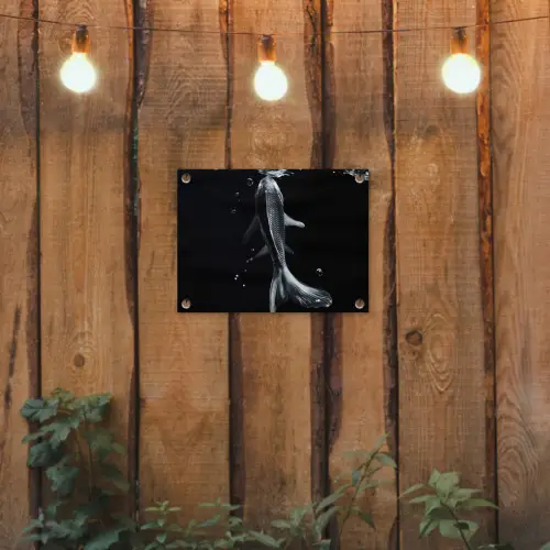 Koi - Vissen - Water - Zwart tuinposter los doek klein -sfeer1