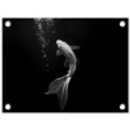 Koi - Vis - Wit - Zwart tuinposter los doek klein -3d