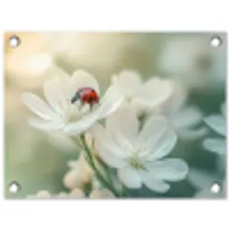 Lieveheersbeestje - Bloemen - Wit tuinposter los doek klein -3d