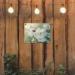 Lieveheersbeestje - Bloemen - Wit tuinposter los doek klein -sfeer1