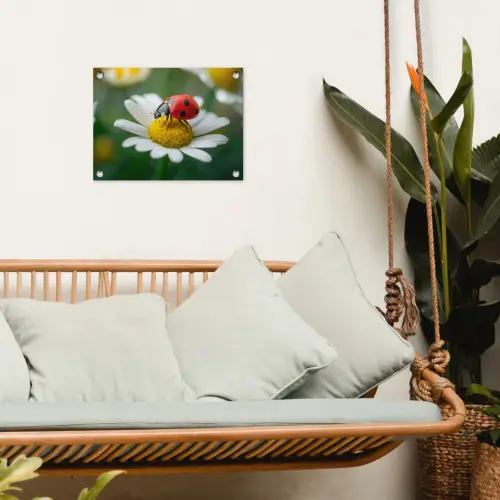 Lieveheersbeestje - Rood - Margriet tuinposter los doek klein -sfeer7