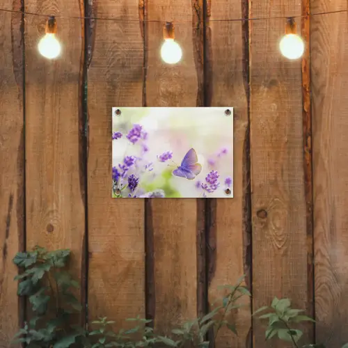 Lavendel - Vlinder - Bloemen tuinposter los doek klein -sfeer1