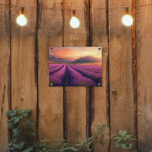 Lavendelveld - Zonsondergang - Paars tuinposter los doek klein -sfeer1