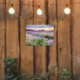 Lavendelvelden bij zonsondergang tuinposter los doek klein -sfeer1