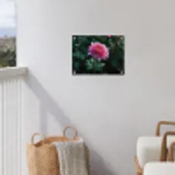 Blad - Chrysant - Roze - Schaduw tuinposter los doek klein -sfeer8