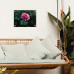 Blad - Chrysant - Roze - Schaduw tuinposter los doek klein -sfeer7