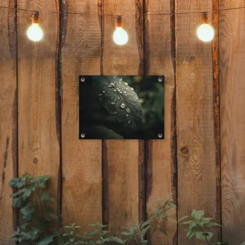 Blad - Groen - Nerven - Regendruppels tuinposter los doek klein -sfeer1