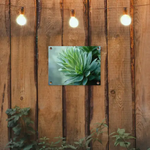 Blad - Plant - Groen - Textuur tuinposter los doek klein -sfeer1