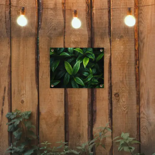 Bladeren - Regendruppels - Licht - Groen tuinposter los doek klein -sfeer1