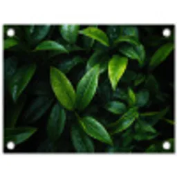 Bladeren - Regendruppels - Licht - Groen tuinposter los doek klein -3d