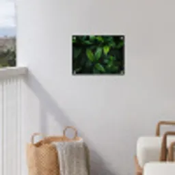 Bladeren - Regendruppels - Licht - Groen tuinposter los doek klein -sfeer8