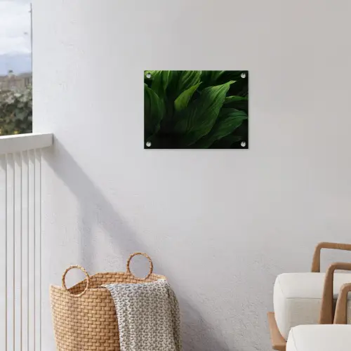 Bladeren - Schaduw - Groen - Textuur tuinposter los doek klein -sfeer8