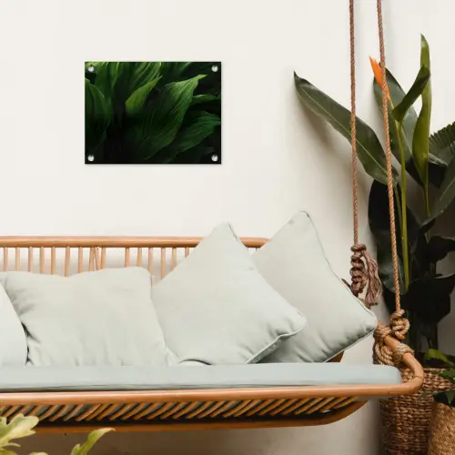 Bladeren - Schaduw - Groen - Textuur tuinposter los doek klein -sfeer7