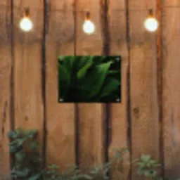 Bladeren - Schaduw - Groen - Textuur tuinposter los doek klein -sfeer1